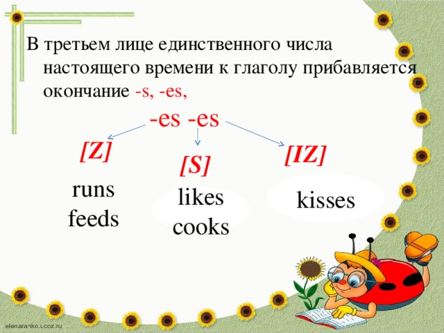В третьем лице единственного числа настоящего времени к глаголу прибавляется окончание -s, -es,  -es -es [Z] [IZ]  [S] runs feeds kisses likes cooks 