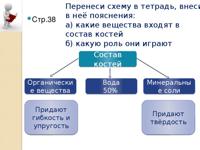 Какие вещества составляют кости. Состав костей схема. Вещества входящие в состав костей. Какие вещества входят в состав костей. Минеральные соли входят в состав костей.