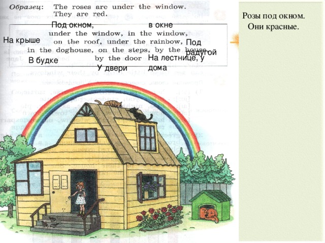 Розы под окном. Они красные. Под окном, в окне На крыше Под радугой На лестнице, у дома В будке У двери 