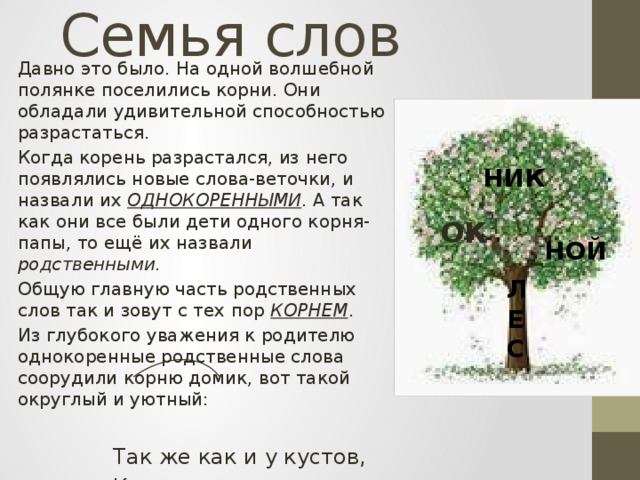 Слово дуб. Корень слова семья. Семья родственные слова. Семья однокоренные слова. Адна каренные слова 