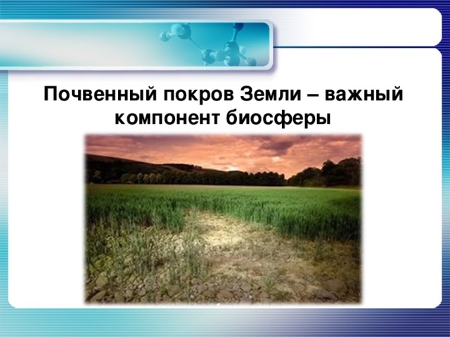 Важно земли. Почвенный Покров земли. Биосфера и почвенный Покров. Почва важнейший компонент биосферы. Важный компонент биосферы - почвенный .....