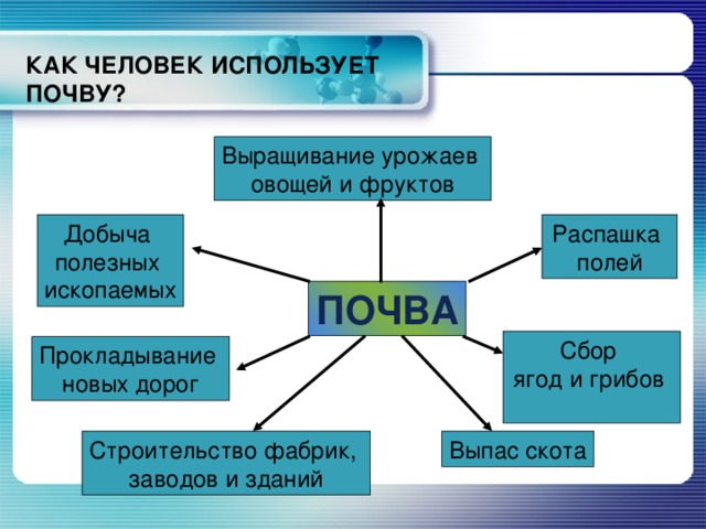 Применение почвы. Как человек использует почву. Значение почвы для человека. Как используются почвы.