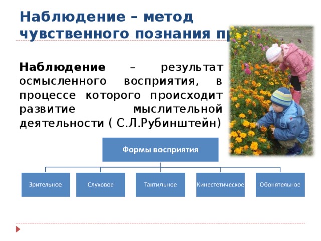 Наблюдение предложение. Методика организации наблюдения.. Методы наблюдений в детском саду. Метод наблюдения для дошкольников. Наблюдения в природе бывают.