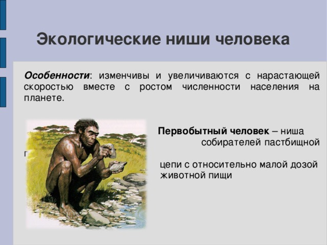 В чем суть современного человека. Опишите экологическую нишу человека. Экологическая ниша человечества.. Экологические ниши человека. Экологическая ниша современного человека.