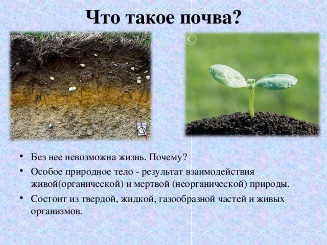 Что такое почва?