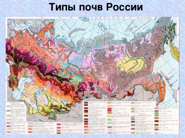Типы почв России