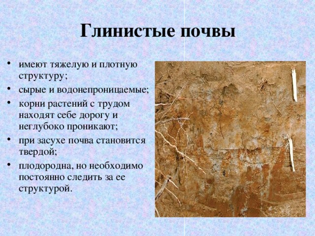 Глинистая почва рисунок