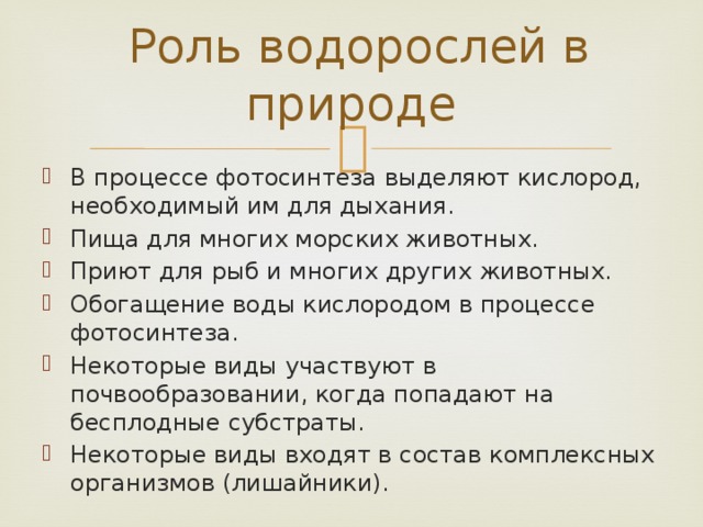 Роль водорослей в природе и жизни человека