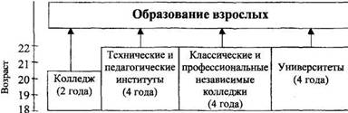 Система образования в сша схема