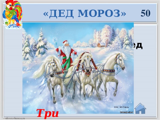 50 «ДЕД МОРОЗ» Сколько лошадей запрягает в сани Дед Мороз? Три  