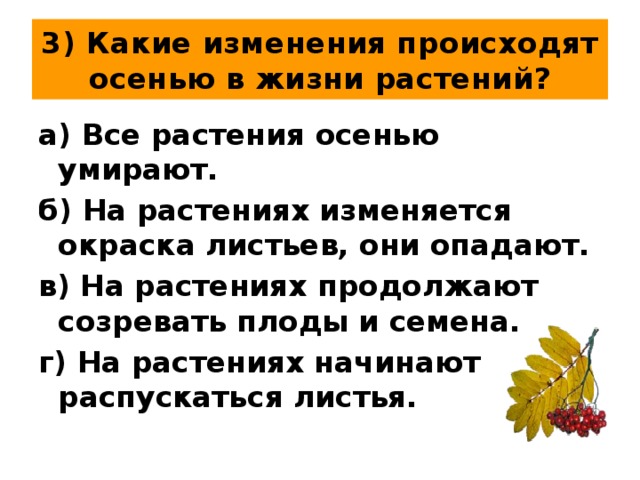 Осенние изменения