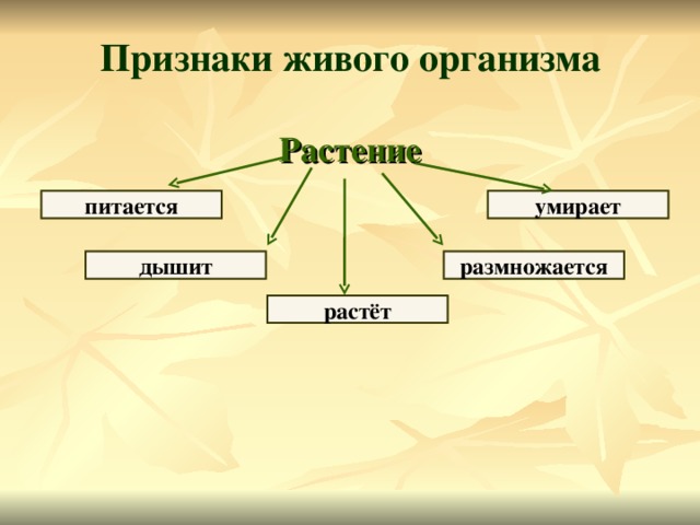 Признаки живых существ 2 класс окружающий мир схема