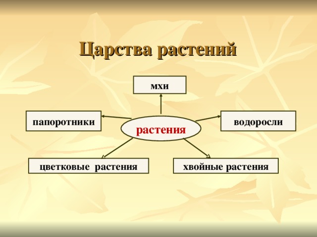 Царство растений схема 7 класс