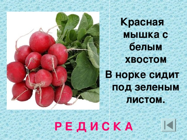 Под зеленым