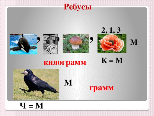 Ребусы , , , , , 2, 1, 3 М К = М килограмм М грамм Ч = М 