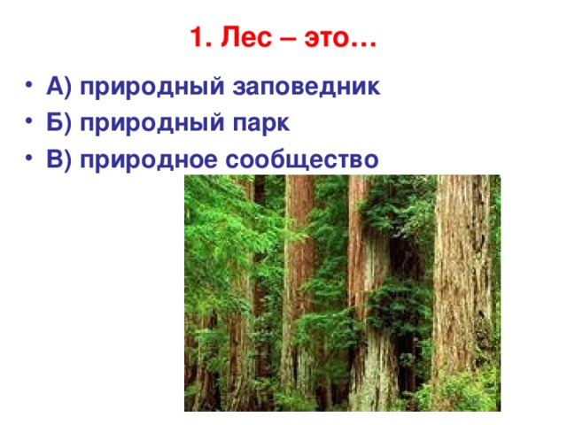 1. Лес – это…   А) природный заповедник Б) природный парк В) природное сообщество 