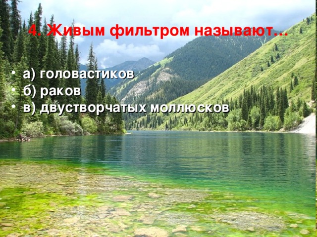 4. Живым фильтром называют… а) головастиков б) раков в) двустворчатых моллюсков 