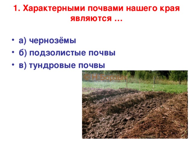 1. Характерными почвами нашего края являются …   а) чернозёмы б) подзолистые почвы в) тундровые почвы 