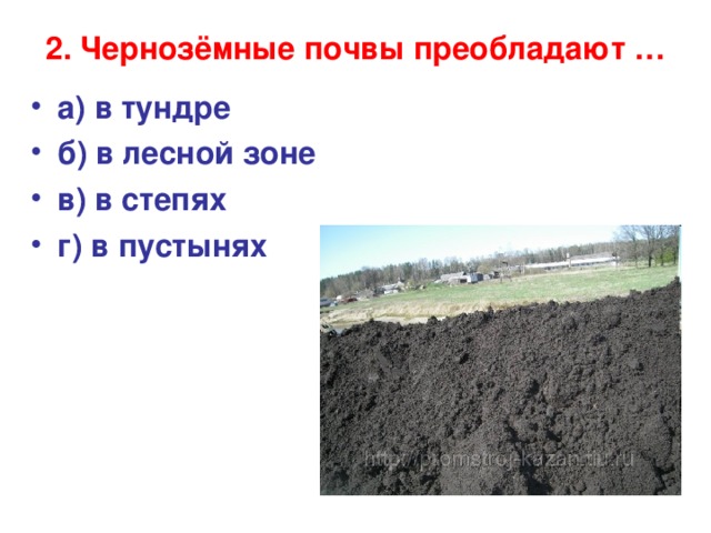 Какие области черноземные почвы россии. Черноземные почвы. Черноземные почвы преобладают. Почва чернозем. Почва чернозем степи.