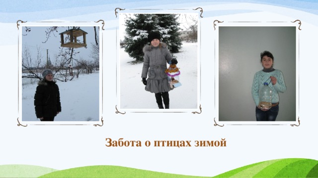 Забота о птицах зимой 