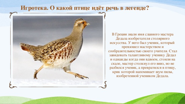 Игротека. О какой птице идёт речь в легенде? В Греции знали имя славного мастера Дедала изобретателя столярного искусства. У него был ученик, который  превзошел мастерством и сообразительностью своего учителя. Стал завидовать талантливому ученику Дедал и однажды когда они вдвоем, стояли на скале, мастер столкнул его вниз, но не разбился ученик, а превратился в птицу, крик которой напоминает шум пилы, изобретенной учеником Дедала.    