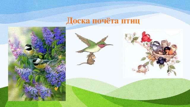 Доска почёта птиц 
