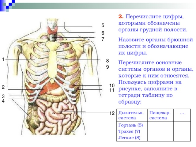 Пользуясь описанием определите какими цифрами на плане обозначены деревни егорка ванютино