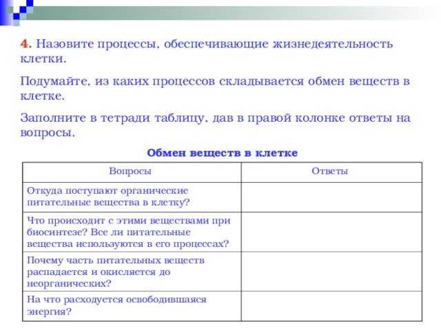 Заполните схему процессы жизнедеятельности клетки