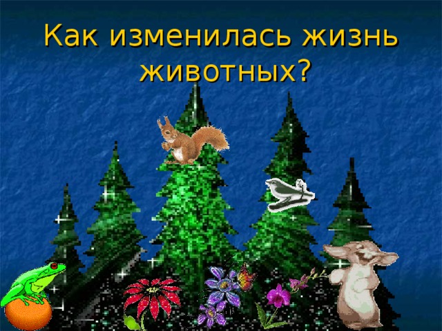 Как изменилась жизнь  животных? 