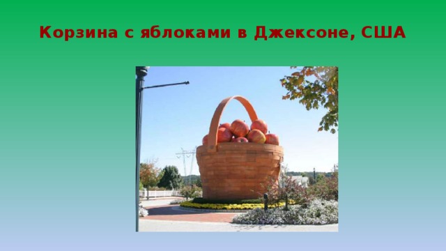 Корзина с яблоками в Джексоне, США 