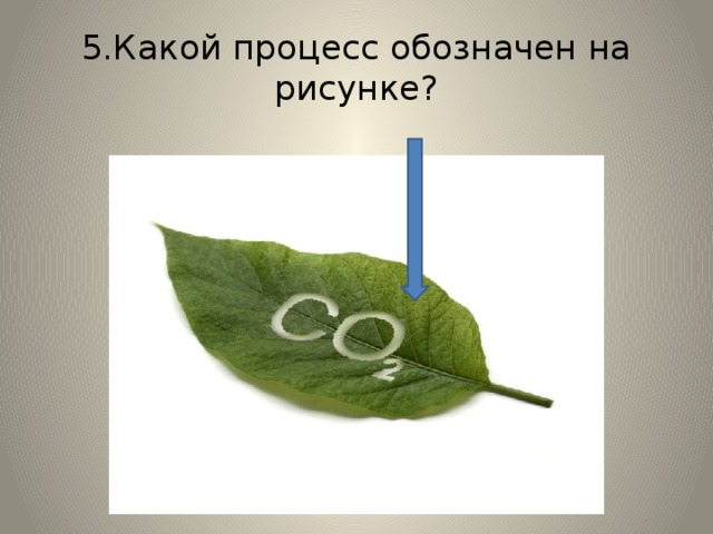 Какой процесс жизнедеятельности клетки изображен на рисунке
