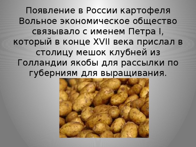 Где впервые был картофель. Появление картошки в России. История картофеля. История картошки. История появления картофеля.