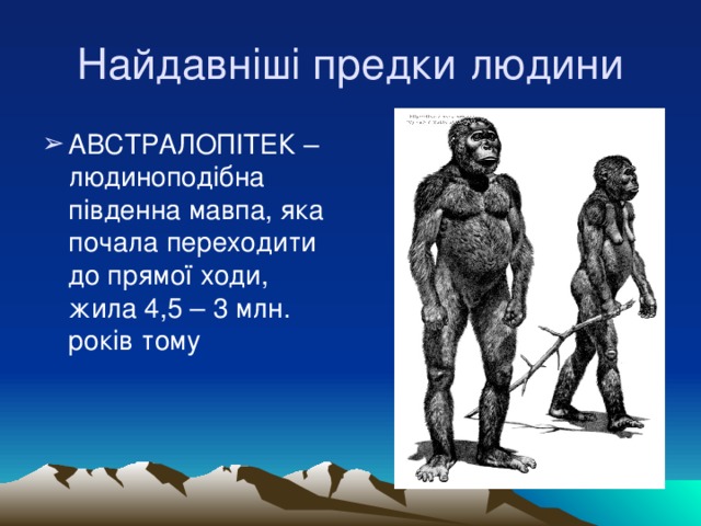 Найдавніші предки людини АВСТРАЛОПІТЕК – людиноподібна південна мавпа, яка почала переходити до прямої ходи, жила 4,5 – 3 млн. років тому 