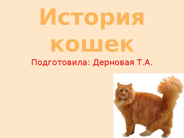 История кошек Подготовила: Дерновая Т.А. 