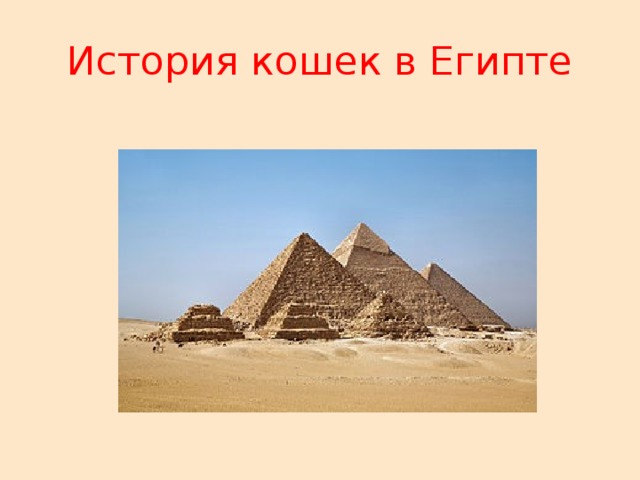 История кошек в Египте 