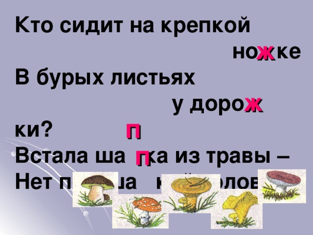 Кто сидит на крепкой  но ке В бурых листьях  у доро ки? Встала ша ка из травы – Нет под ша кой головы! ж ж п п 