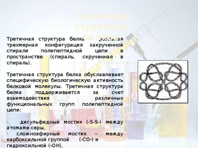 В состав природных белков входят. Третичная структура белка биополимер. Структура полимерной серы. Третичная структура имеет конфигурацию а спирали. Почему белки считаются полимерами.