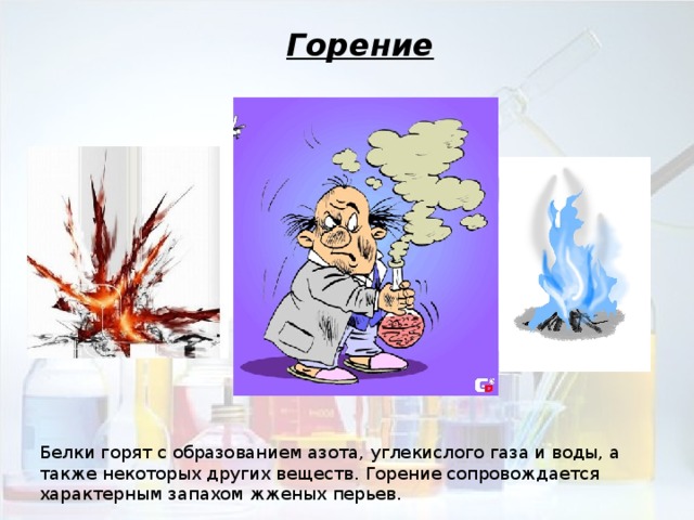 Докажите что белки являются полимерами. Смотреть фото Докажите что белки являются полимерами. Смотреть картинку Докажите что белки являются полимерами. Картинка про Докажите что белки являются полимерами. Фото Докажите что белки являются полимерами