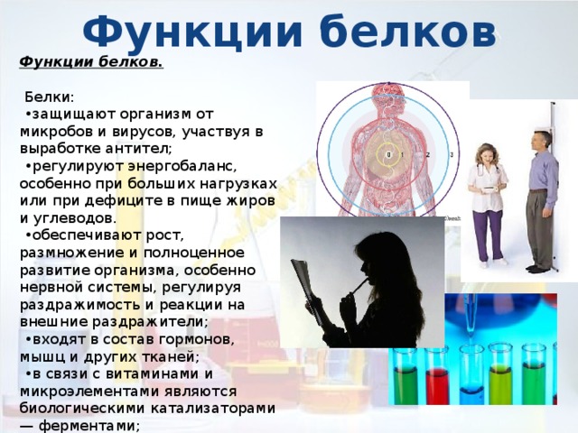 Докажите что белки являются полимерами. Смотреть фото Докажите что белки являются полимерами. Смотреть картинку Докажите что белки являются полимерами. Картинка про Докажите что белки являются полимерами. Фото Докажите что белки являются полимерами