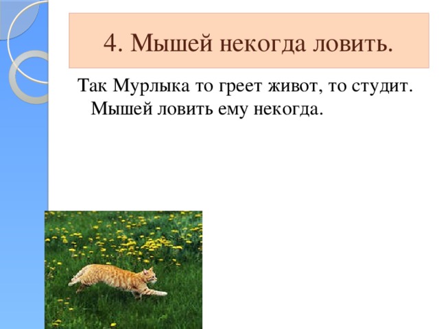 4. Мышей некогда ловить. Так Мурлыка то греет живот, то студит. Мышей ловить ему некогда.