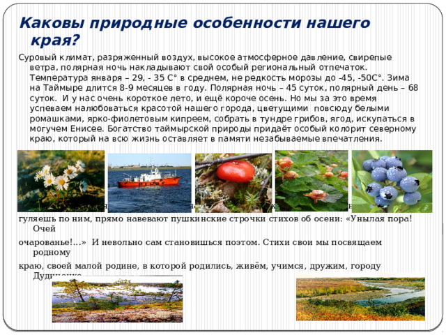Каковы природные особенности нашего края? Суровый климат, разряженный воздух, высокое атмосферное давление, свирепые ветра, полярная ночь накладывают свой особый региональный отпечаток. Температура января – 29, - 35 С° в среднем, не редкость морозы до -45, -50С°. Зима на Таймыре длится 8-9 месяцев в году. Полярная ночь – 45 суток, полярный день – 68 суток. И у нас очень короткое лето, и ещё короче осень. Но мы за это время успеваем налюбоваться красотой нашего города, цветущими повсюду белыми ромашками, ярко-фиолетовым кипреем, собрать в тундре грибов, ягод, искупаться в могучем Енисее. Богатство таймырской природы придаёт особый колорит северному краю, который на всю жизнь оставляет в памяти незабываемые впечатления.  А осень! Ведь какая у нас замечательная осень! Есть такие места в Дудинке, что когда гуляешь по ним, прямо навевают пушкинские строчки стихов об осени: «Унылая пора! Очей очарованье!...» И невольно сам становишься поэтом. Стихи свои мы посвящаем родному краю, своей малой родине, в которой родились, живём, учимся, дружим, городу Дудиночке. 