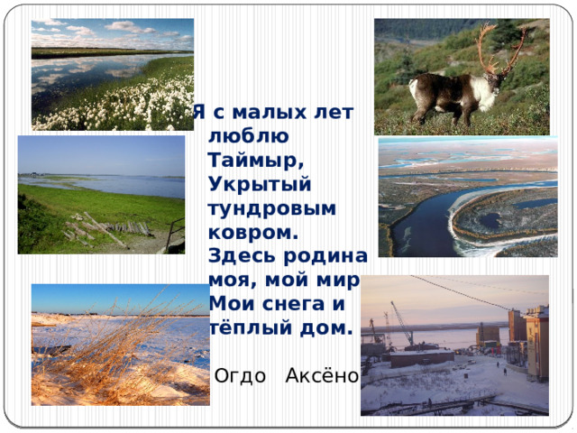 Я с малых лет люблю Таймыр,  Укрытый тундровым ковром.  Здесь родина моя, мой мир,  Мои снега и тёплый дом.   Огдо Аксёнова  