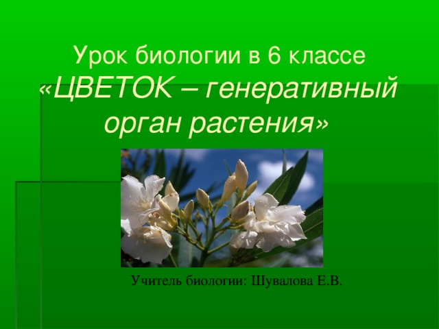 Презентация к уроку цветок на земле 3 класс