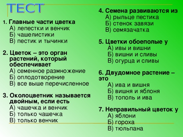 У крутой поперечной горки то есть у задней стенки овражка травы буйствовали невероятно