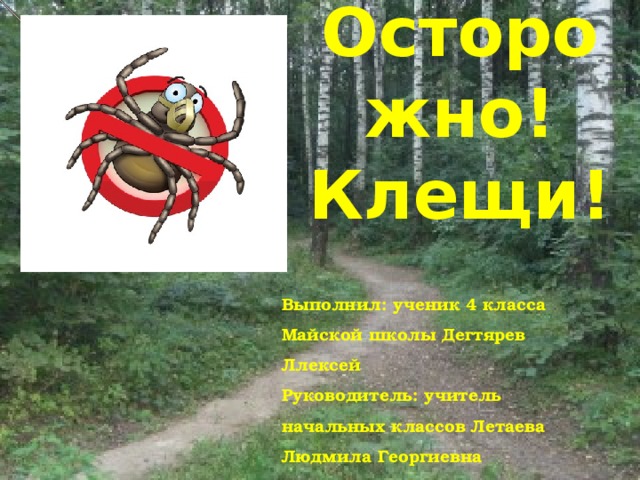 Проект про клещей