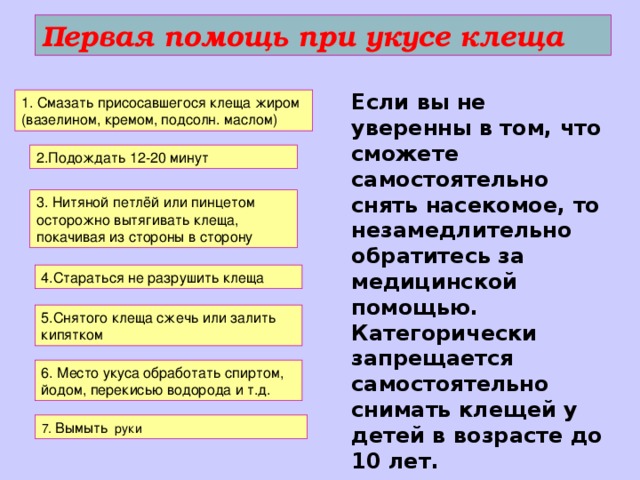 Первая помощь при укусе клеща презентация