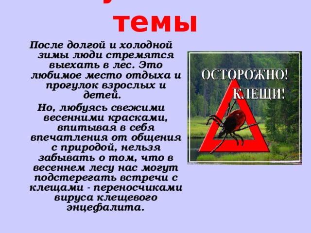 Осторожно клещи презентация для детей начальной школы