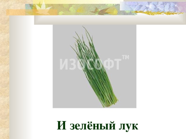 И зелёный лук 