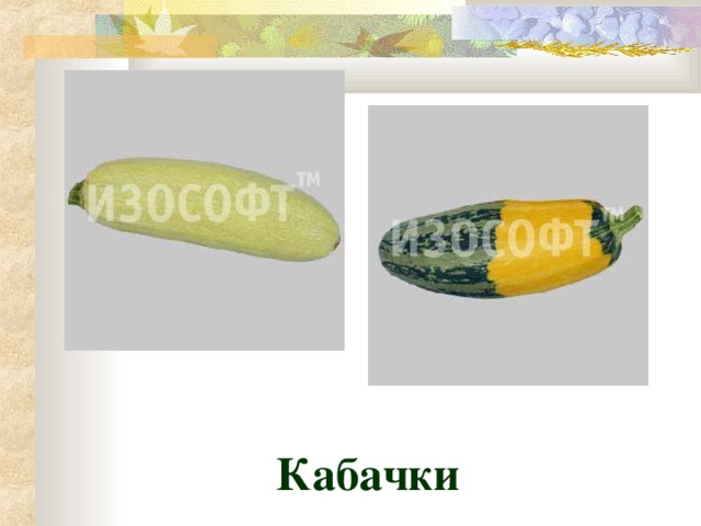 Кабачки 
