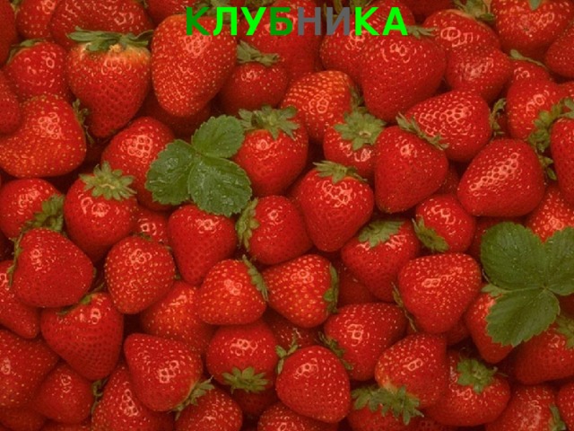 К ЛУ Б НИ КА 